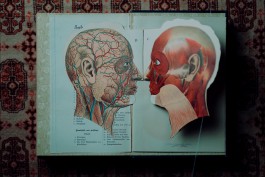 MADELEINE BRUNNMEIER