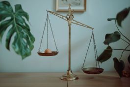 Madeleine Brunnmeier Berlin Artist Photographer Bietigheim-Bissingen Germany Deutschland Künstlerin Universität der Künste Berlin Bewegtbildklasse Illustration 