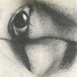 pochette autre vesion print yeux