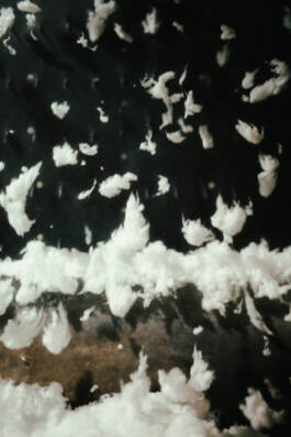 Textile ExchangexCOLEO MadeleineBrunnmeier 26 