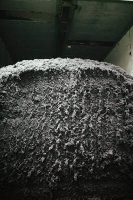 Textile ExchangexCOLEO MadeleineBrunnmeier 31 